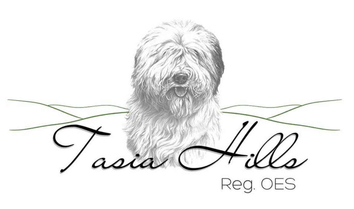 Top Ontario Dog Breeder